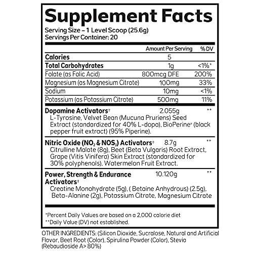 Advanced Molecular Labs - Pre Workout Powder, Increases Drive, Performance Enhancer AML ADVANCED MOLECULAR LABSAu supplements