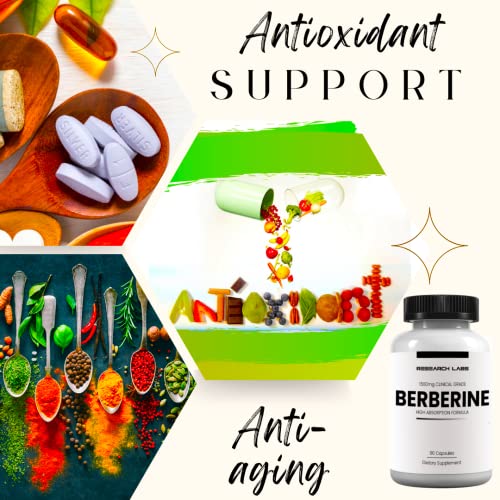 Research Labs 2 Fer 1 Ad - 1500mg Clinical Grade Berberine High Absorption Formula Research LabsUS supplements