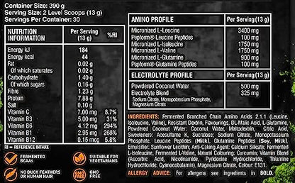 Grenade Defend BCAA Powder, Green Apple, 390 g (7 g BCAA's Per Serving - 30 Servings GrenadeUS supplements