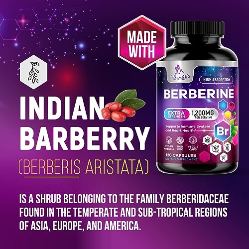 Berberine Supplement 1200mg per Serving - High Absorption Heart Health Support Nature's NutritionAu supplements