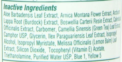 Bio Freeze Pain Relieving Gel, 4 Ounce, 12-Count BiofreezeAu supplements