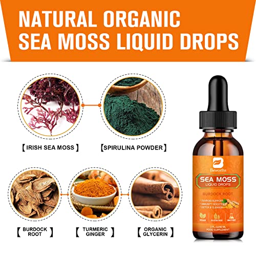 B BEWORTHS Sea Moss Liquid Drops - Organic Irish Sea Moss Raw Gel with Burdock Root B BEWORTHSUS supplements