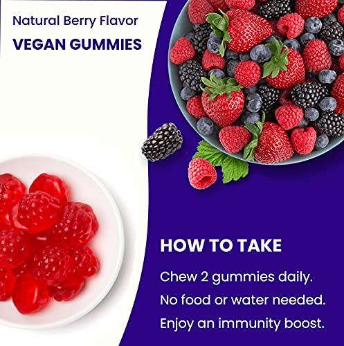 Elderberry Gummies | Sambucus Elderberry Gummies for Adults & Kids | Vitamin C NutraChampsUS supplements