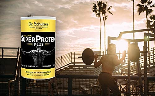 Dr. Schulze's | SuperProtein Plus | 100% Plant Protein Concentrate | Organic Powder Mix Dr. Schulze'sUS supplements