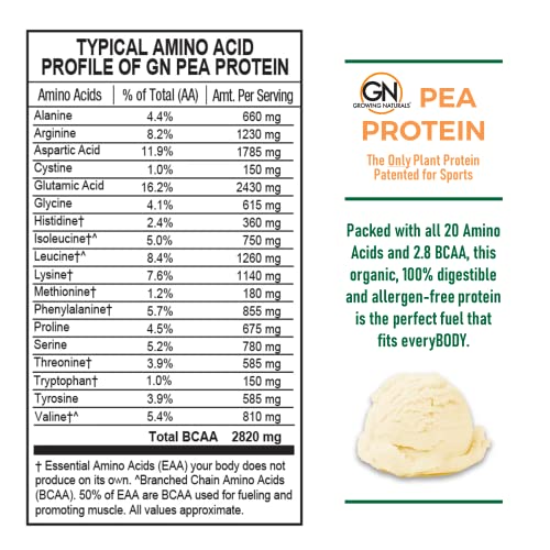 Growing Naturals | Vanilla Raw Pea Powder 15g Plant Protein | 2.8G BCAA, Low-Carb Growing NaturalsAu supplements