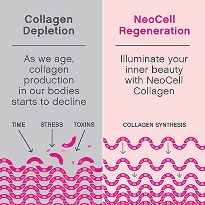 NeoCell Super Collagen Powder, 10g Collagen Peptides per Serving, Gluten Free NeoCellUS supplements