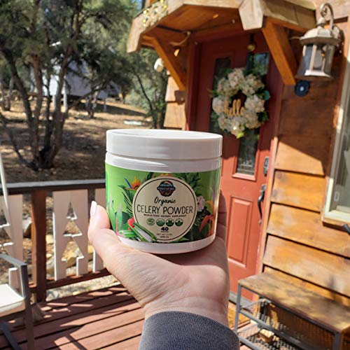 Organic Celery Juice Powder (40 Servings) Supports Gut Health, Detox Juice Cleanse Paradise Naturals, Purest Ingredients from the SourceUS supplements