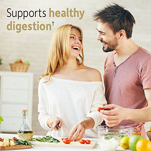 Garden of Life Dr Formulated Organic Fiber Supplement Powder Unflavored, Sugar Free Garden of LifeAu supplements