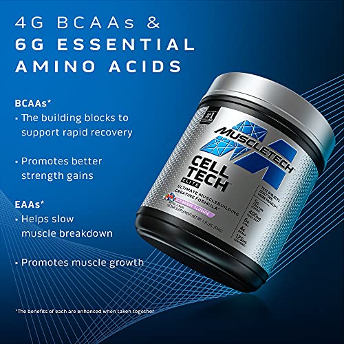 Creatine Powder | MuscleTech Cell-Tech Elite Creatine Powder | Post Workout Recovery MuscleTechUS supplements