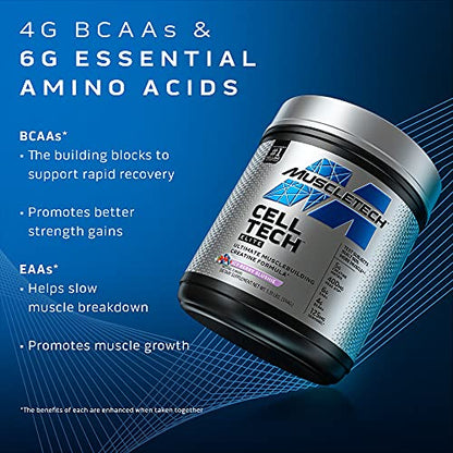 Creatine Powder | MuscleTech Cell-Tech Elite Creatine Powder | Post Workout Recovery MuscleTechUS supplements