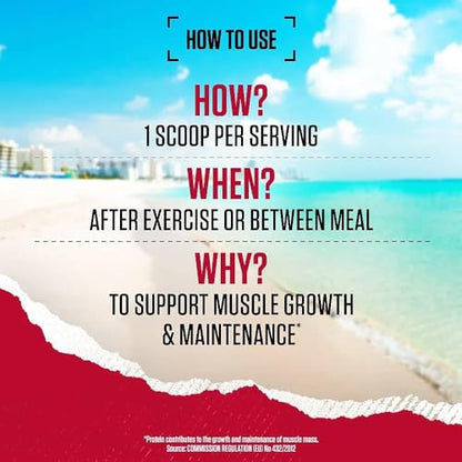 BSN True Mass All-In-One Gainer Protein and Carbohydrate Powder with Creatine BSNUS supplements