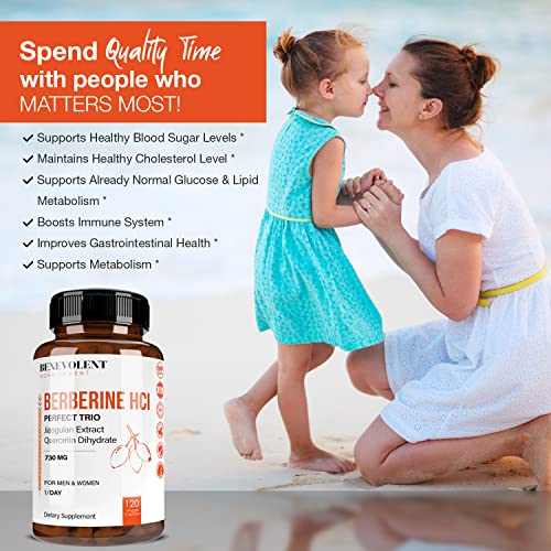 Premium Berberine HCL 730mg - 120 VCAPS Perfect Trio Complex with Non-GMO Jiaogulan Benevolent NourishmentAu supplements