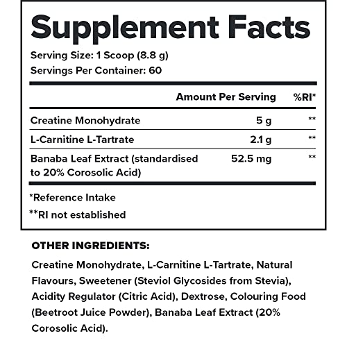Legion Recharge Post Workout Supplement - All Natural Muscle Builder & Recovery Drink LegionUS supplements