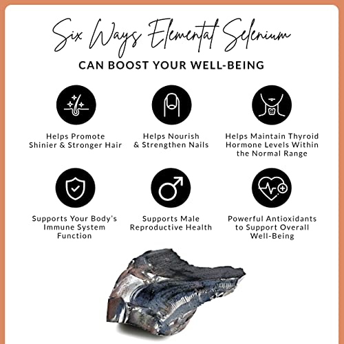 Selenium Supplements - Selenium Capsules for Hair, Skin, Nails & Cognitive Function BIRCH & WILDEUS supplements