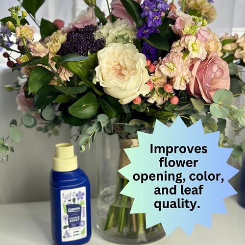 Chrysal Cut Flower Universal Food (10 ml/L Bottle) — Increase The Flower Boost with Floral Supplies ChrysalAu supplements