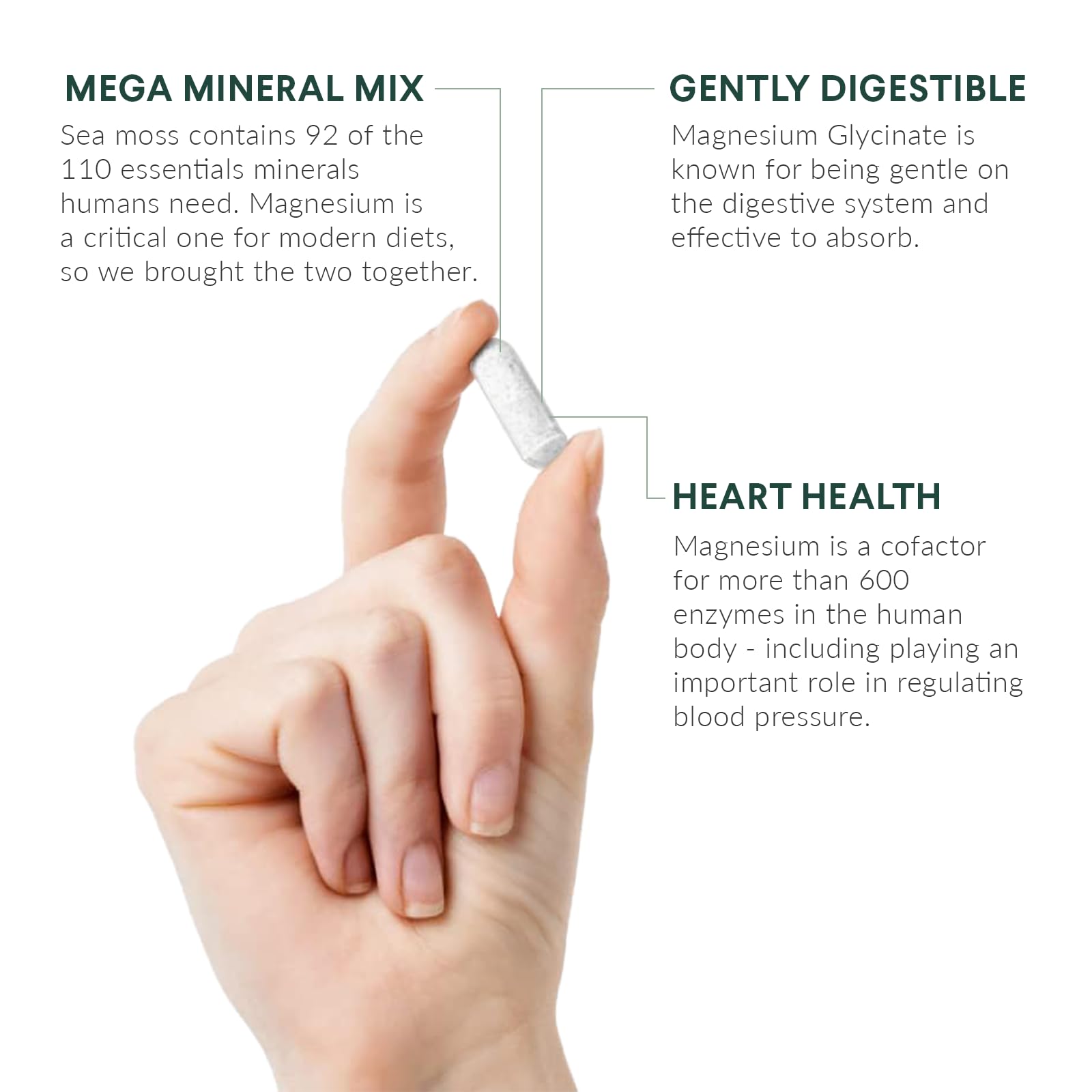 Nutritional Roots - Magnesium + Irish Sea Moss - 350mg Magnesium Glycinate & Organic Irish Sea Moss - Essential Minerals - Supports Heart & Bone Health - Dietary Supplement - 30 Servings - 60 Capsules Nutritional RootsAu supplements