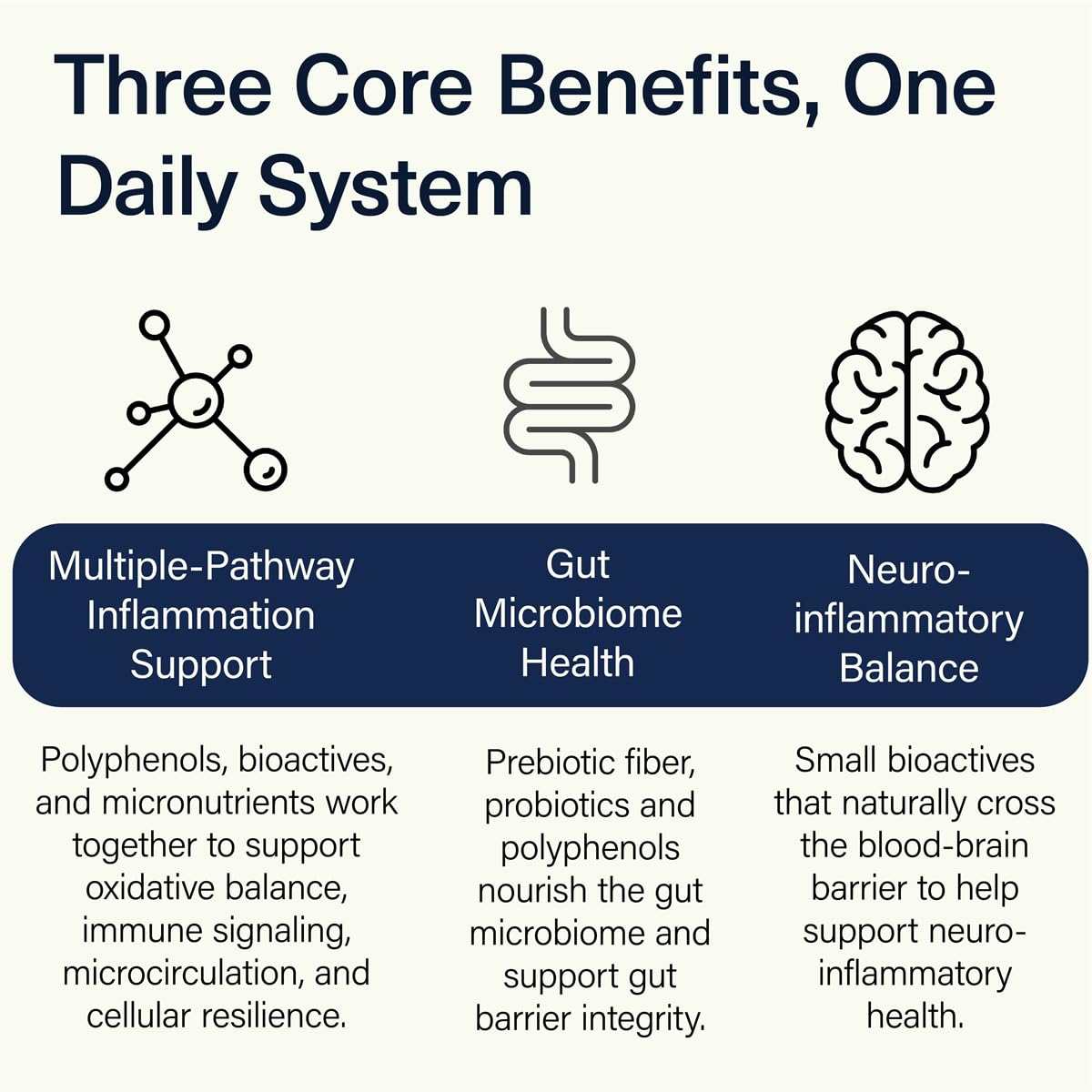 ACEND Advanced Inflammatory Support Powdered Drink Mix | Evidence-Based Polyphenols + Prebiotic Fiber + Probiotics | D3+K2, Minerals & Electrolytes | Non-GMO ACENDAu supplements