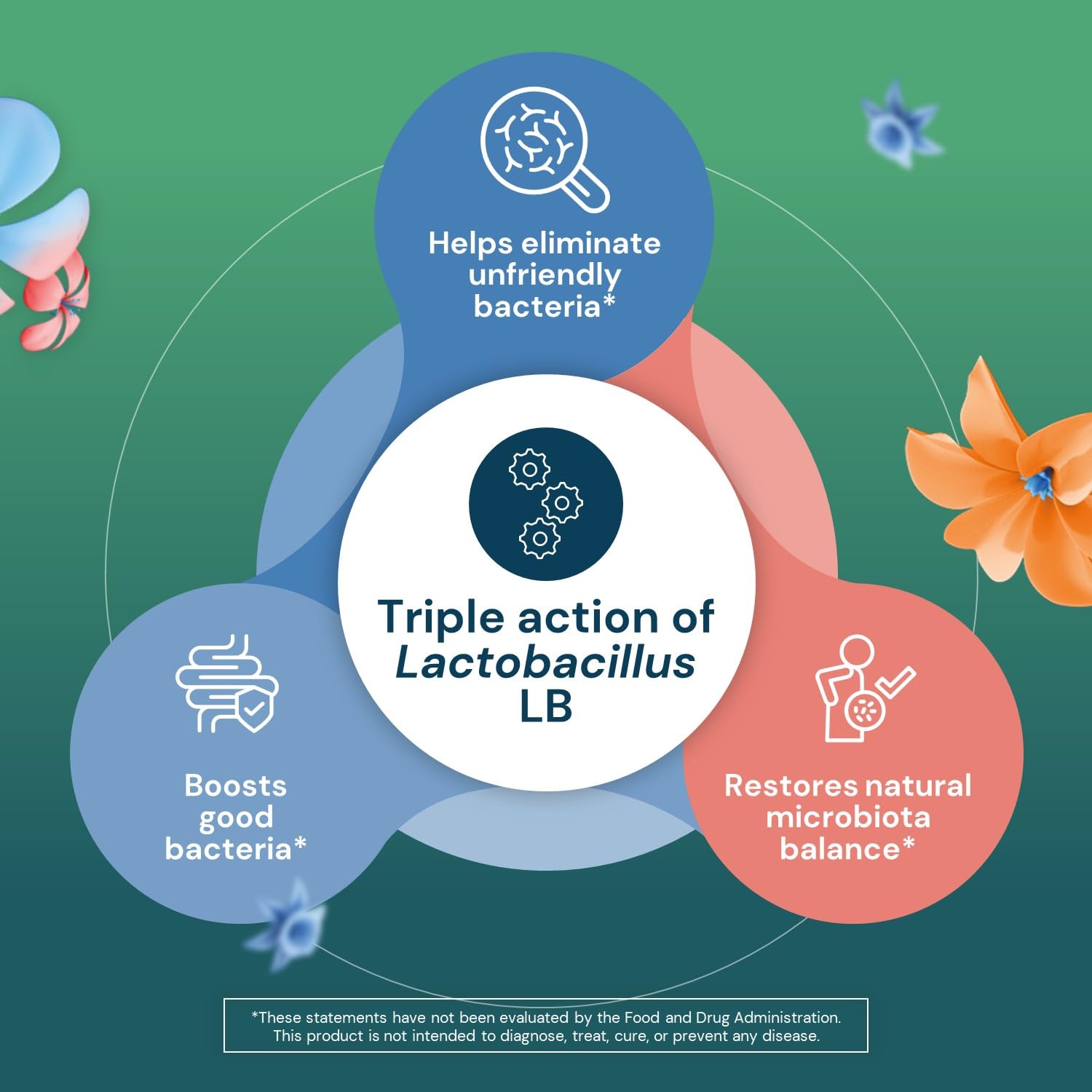 Lactéol diarrhEase Kids - a Safe, Drug Free and clinically Tested postbiotic Strain That Shortens The Duration of Occasional Diarrhea- Works Naturally with Your Child’s Body, 10 Count LactéolAu supplements