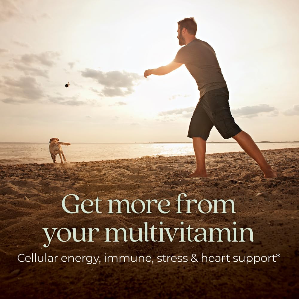 New Chapter Men’s Multivitamin, B6, Extra B12, D3, Vitamin C & Zinc, Immune, Heart, Cellular Energy, and Brain Health New ChapterAu supplements