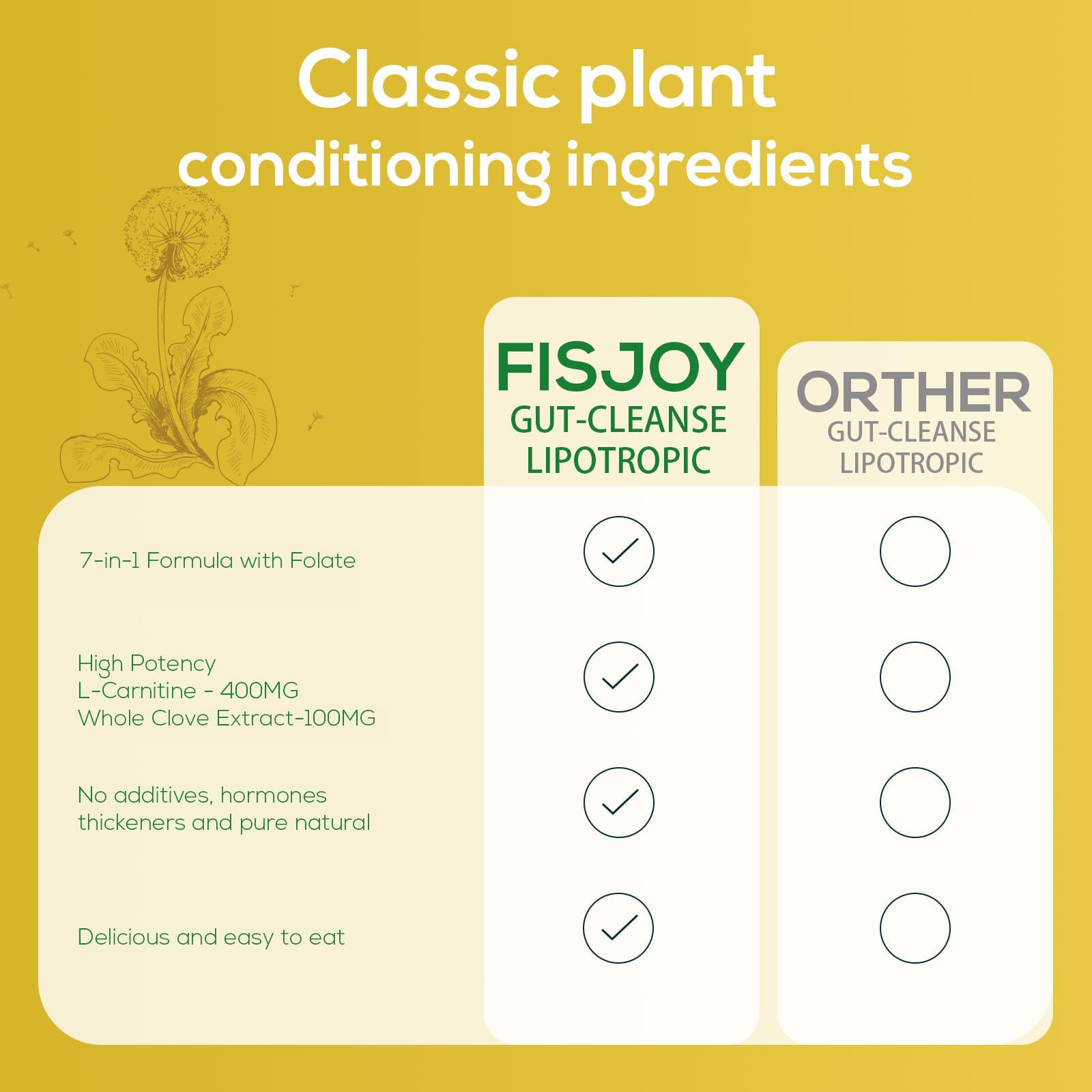 Fisjoy L-Carnitine & Herbal Liquid Drops – Gentle Daily Digestive Support with Pumpkin Seed, Clove & PAU D’Arco Extracts, Folate & Chromium, Vegan, Sugar-Free, 2 fl oz (60 mL) FisjoyAu supplements