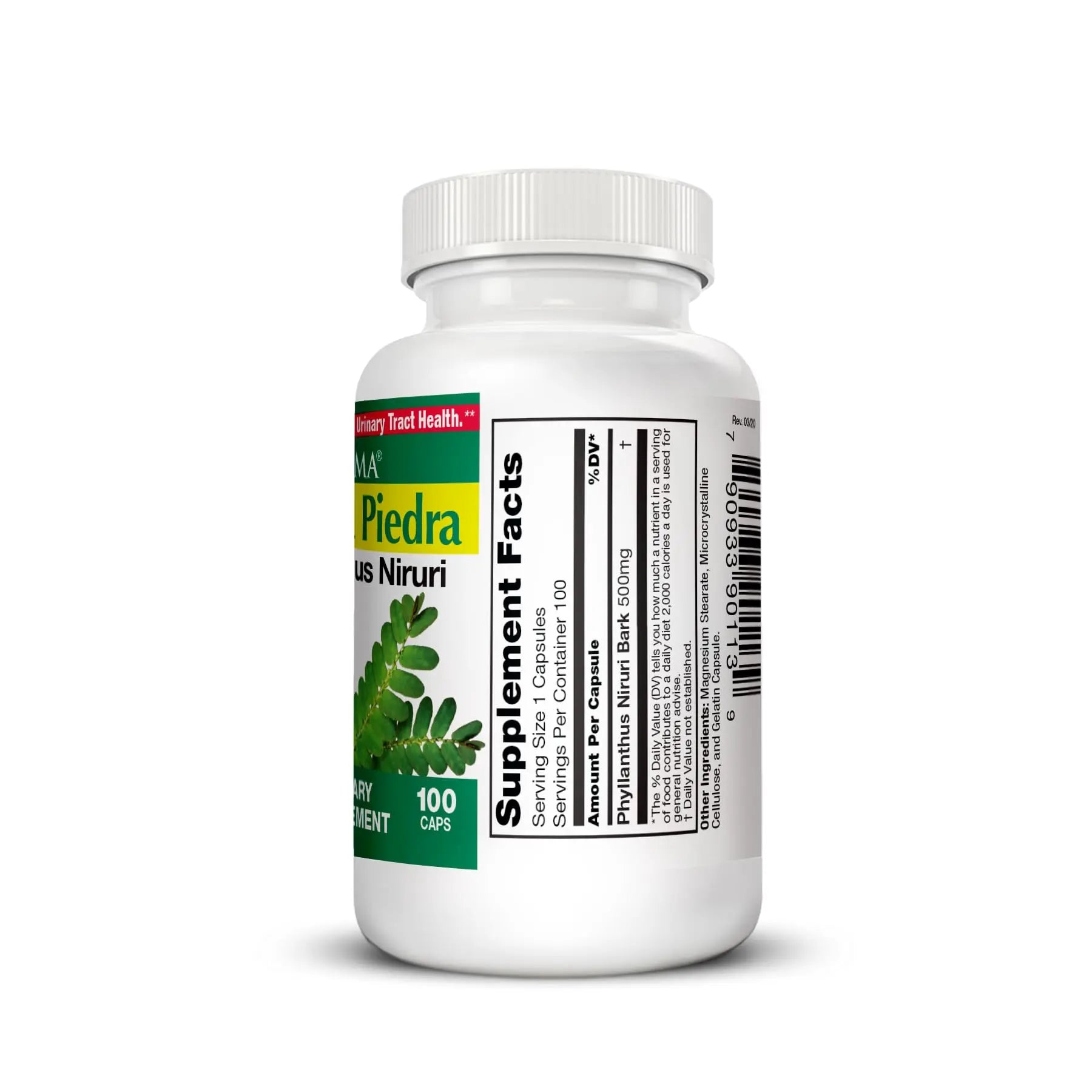 Germa Chanca Piedra Supplement – 500mg Phyllanthus Niruri – Traditional Stone Breaker Herb for Urinary & Kidney Support – Rainforest Botanical – 100% Natural Vegan Capsules, 100 Count GermaAu supplements