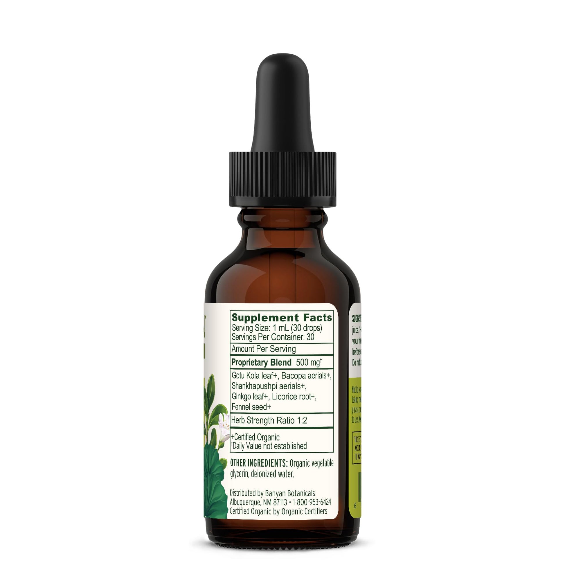 Banyan Botanicals Focus Liquid Extract – Organic Focus Supplement – Liquid Extract in Non-Alcoholic Glycerin – Nootropic Herbs for Fast-Acting Support* – 1 oz. – Non-GMO Sustainably Sourced Vegan Banyan BotanicalsAu supplements
