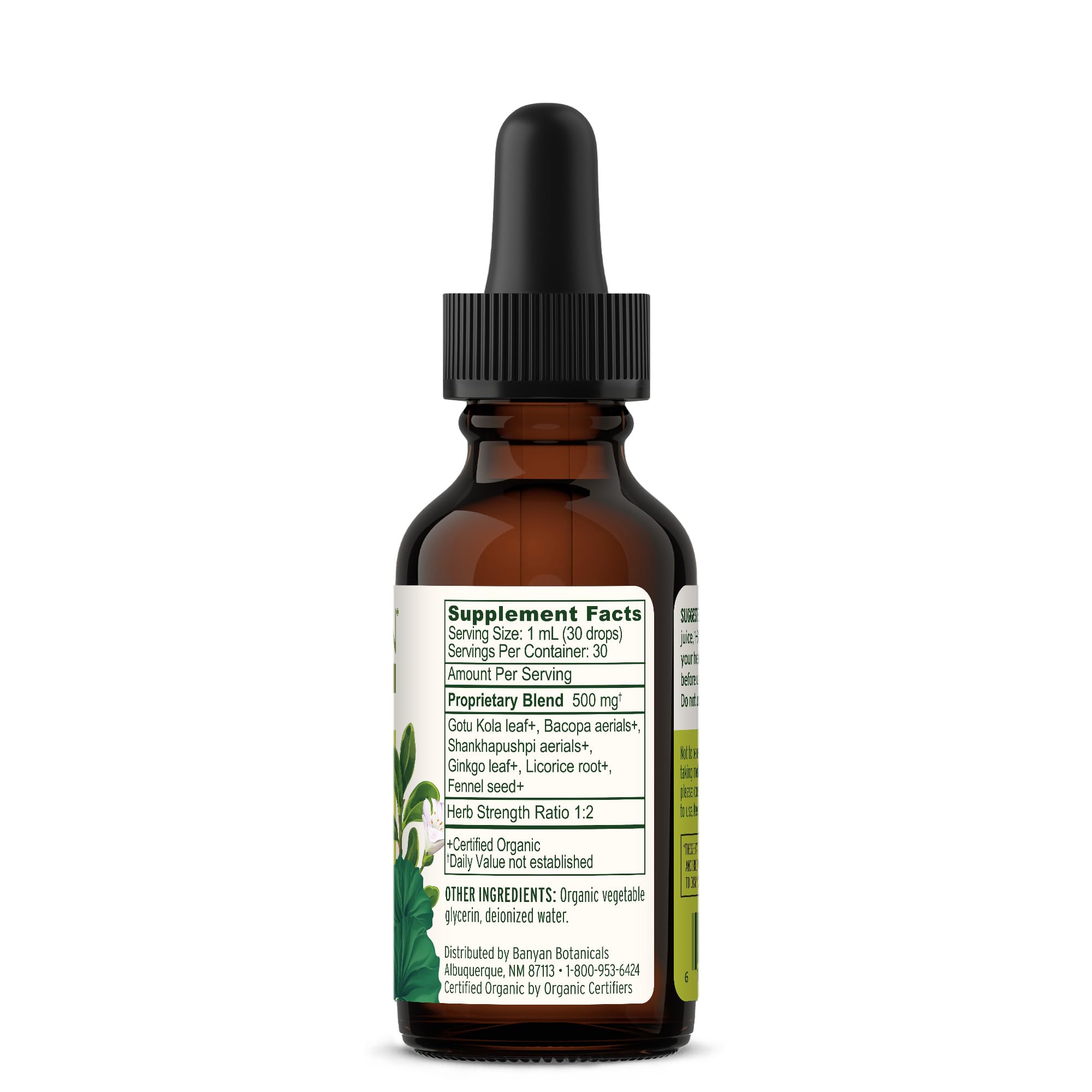 Banyan Botanicals Focus Liquid Extract – Organic Focus Supplement – Liquid Extract in Non-Alcoholic Glycerin – Nootropic Herbs for Fast-Acting Support* – 1 oz. – Non-GMO Sustainably Sourced Vegan Banyan BotanicalsAu supplements