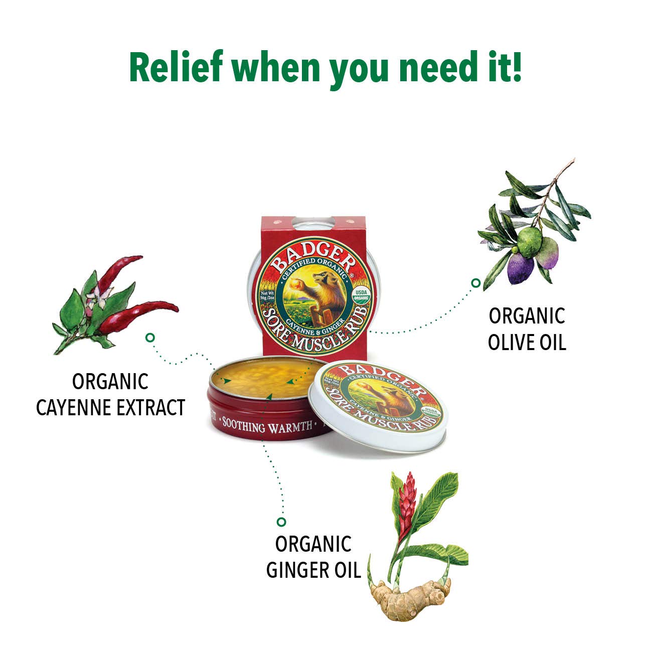 Badger Sore Muscle Rub Tin, Cayenne & Ginger, 2 oz (1 Pack) BadgerAu supplements