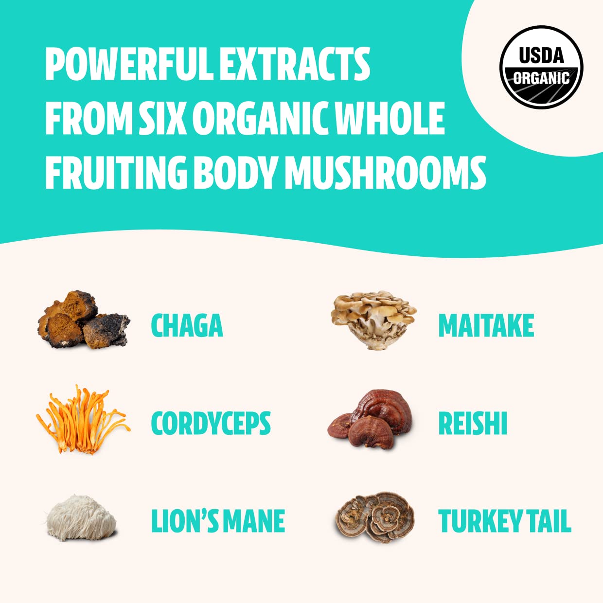 FreshCap Ultimate Mushroom Complex Powder - Lions Mane, Reishi, Cordyceps, Chaga FreshCap MushroomsAu supplements