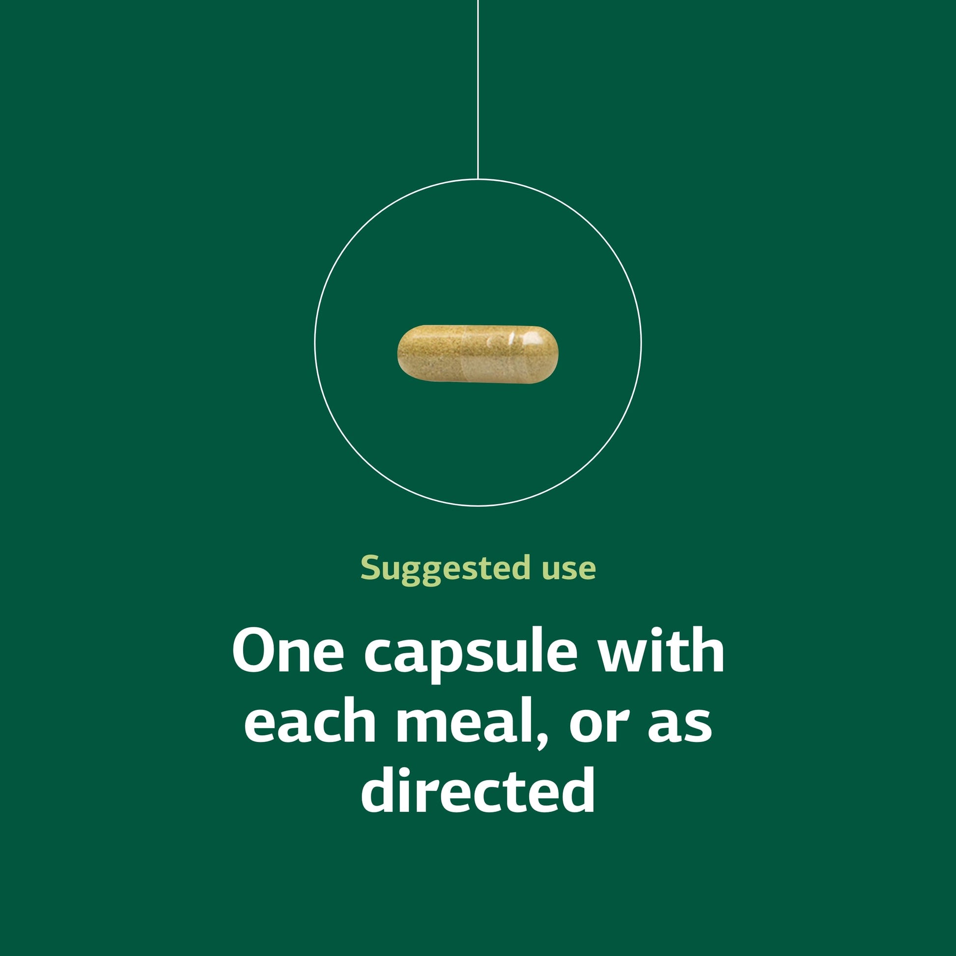 Standard Process Ostarplex - Dietary Supplement for Connective Tissue Health - Aids Liver Health & Function - Contains Vitamin B6 - Non-Dairy - 90 Capsules (90 Servings) Standard Process Inc.Au supplements