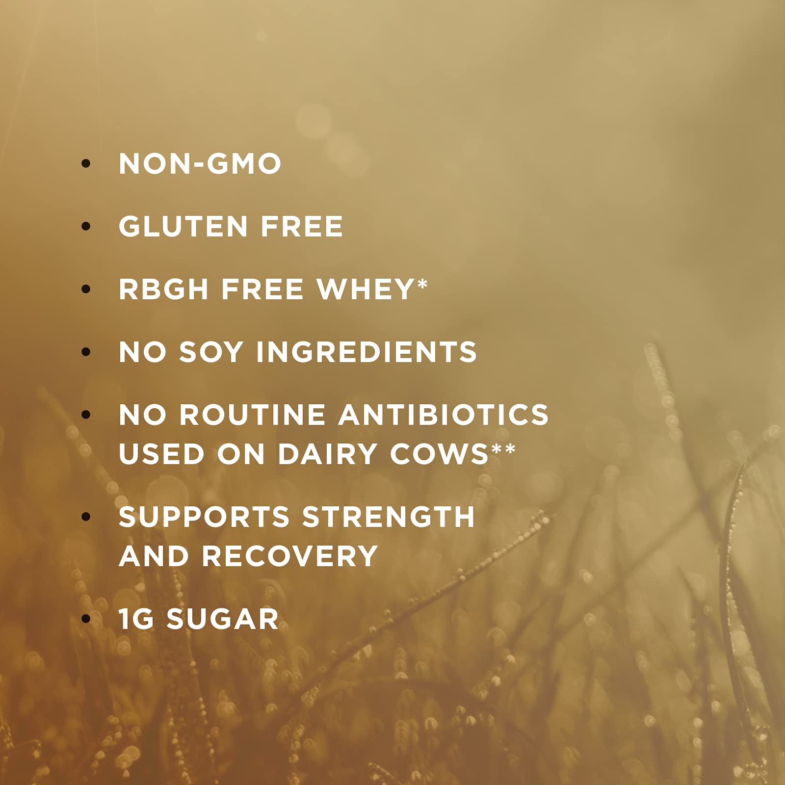 Solgar Whey To Go Natural Vanilla Flavour Protein Powder 340 g - Grass-Fed Whey from New Zealand Cows SOLGARAu supplements