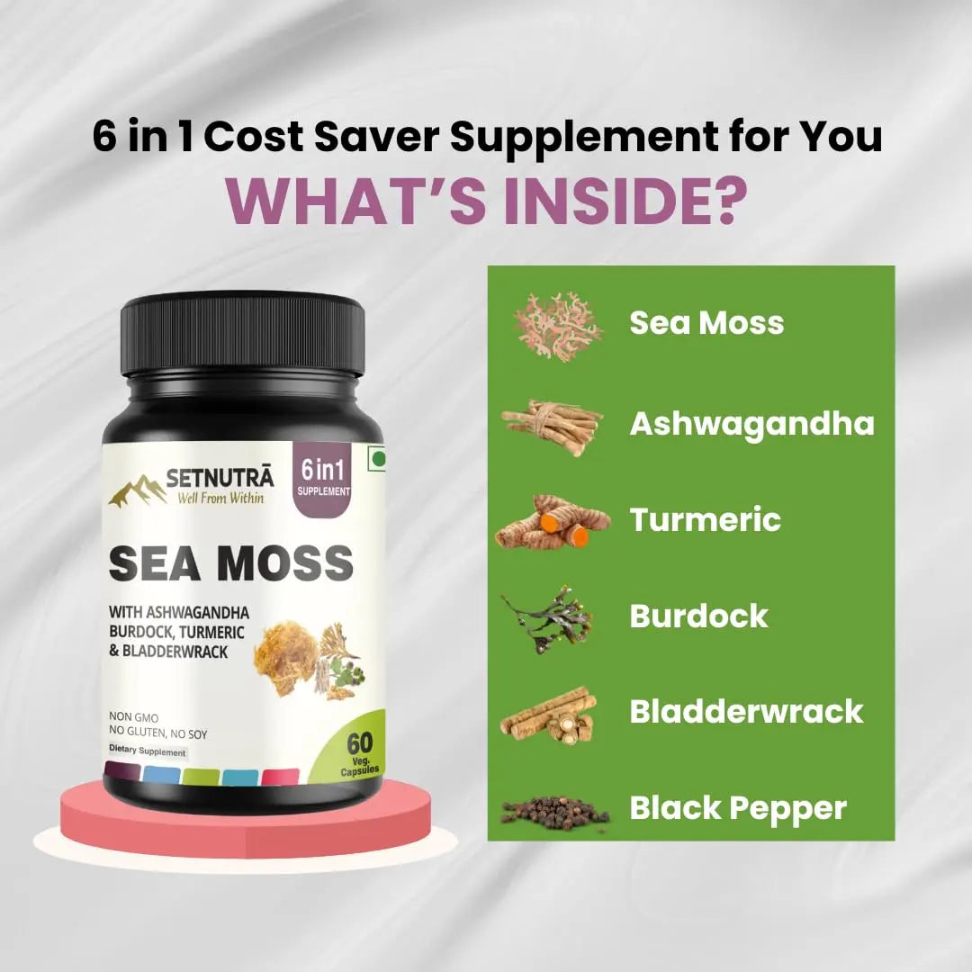 SETNUTRA Well From Within Sea Moss 6 in 1 Super Blend Ashwagandha Burdock Turmeric & Bladderwrack Immunity & Detox Support 60 Veg Capsules Non GMO No Gluten SETNUTRA Well From Withinnz supplements