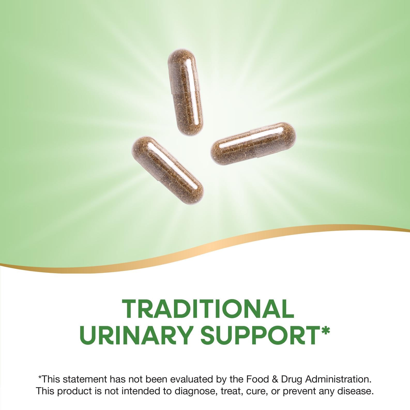 Nature's Way Uva Ursi Leaves, Traditional Urinary Support*, 1,110 mg per 3-Capsule Serving, Non-GMO Project Verified, Herbal Dietary Supplement, Gluten Free, 100 Vegan Capsules (Packaging May Vary) Nature's WayAu supplements