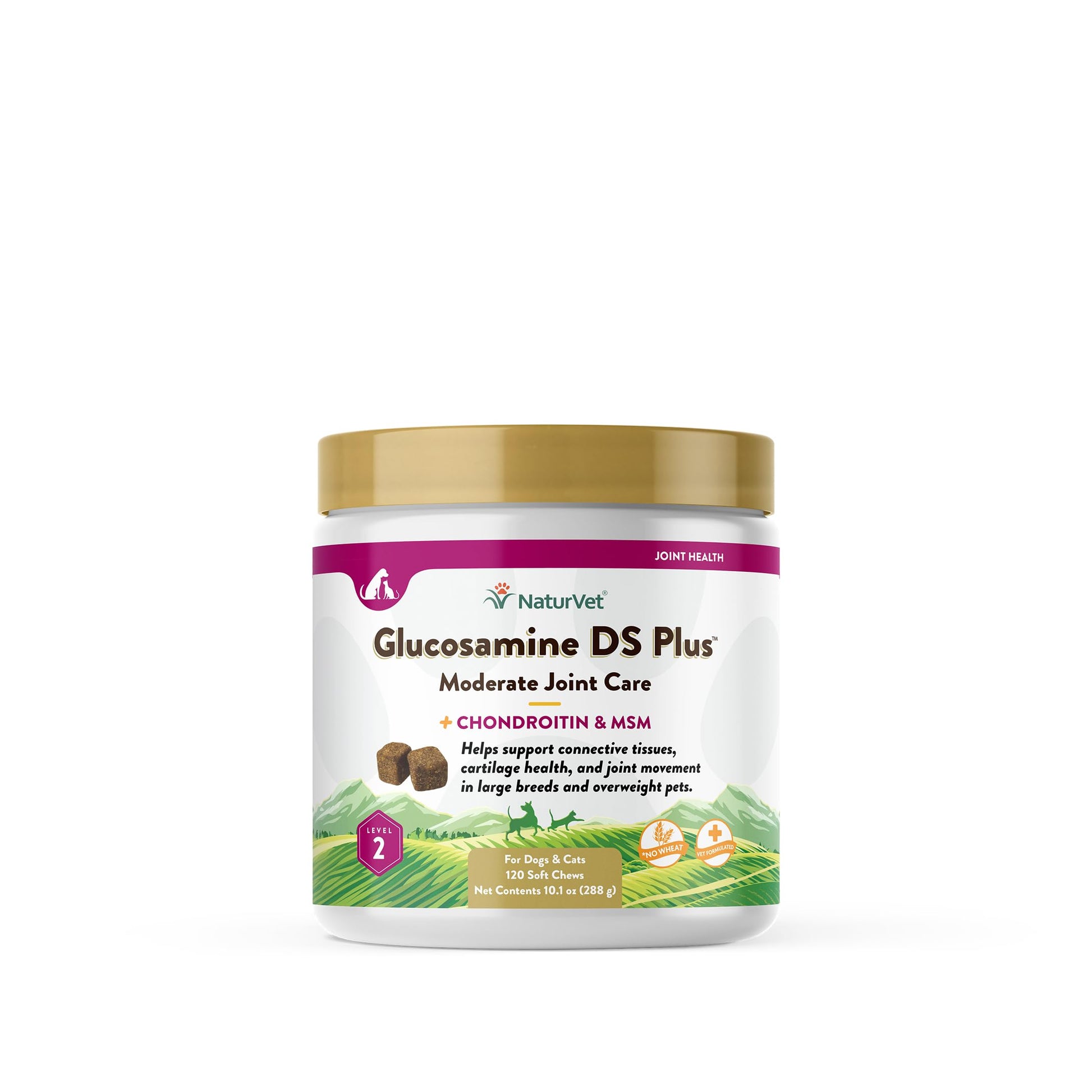NaturVet – Glucosamine DS Plus - Level 2 Moderate Care – Supports Healthy Hip & Joint Function – Enhanced with Glucosamine, MSM & Chondroitin – for Dogs & Cats–120 Soft Chews NaturVetAu supplements