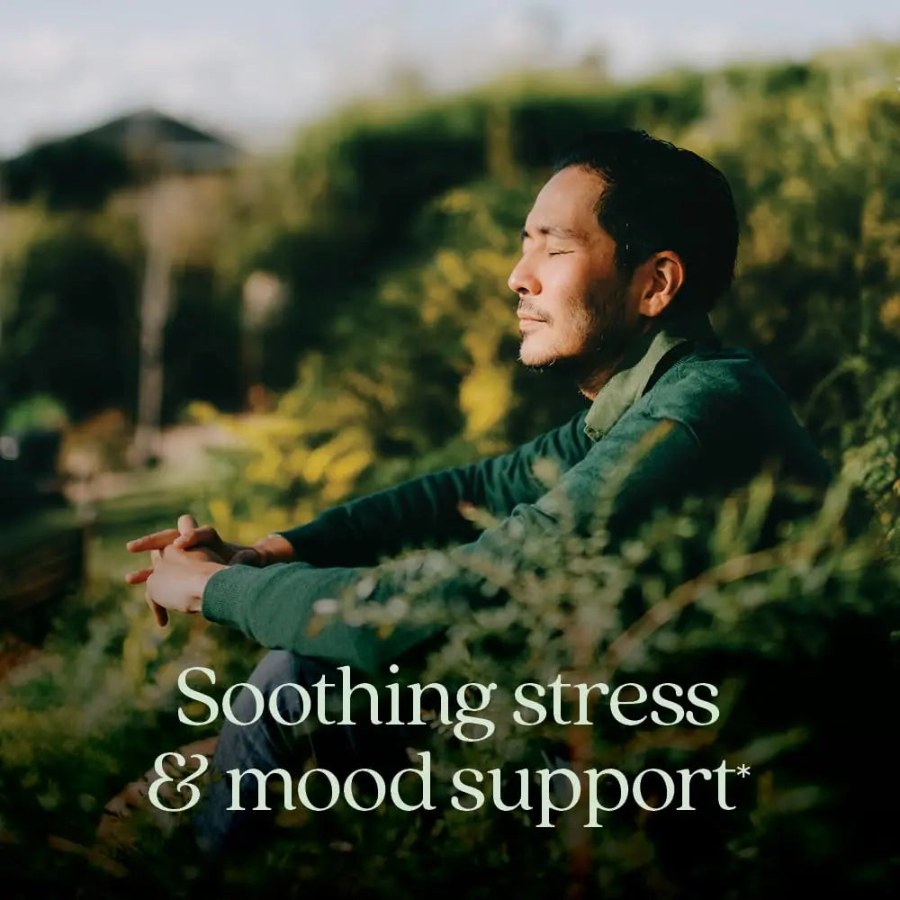 New Chapter Perfect Calm - Daily Multivitamin for Stress & Mood Support with B Vitamins + Holy Basil + Lemon Balm New ChapterAu supplements