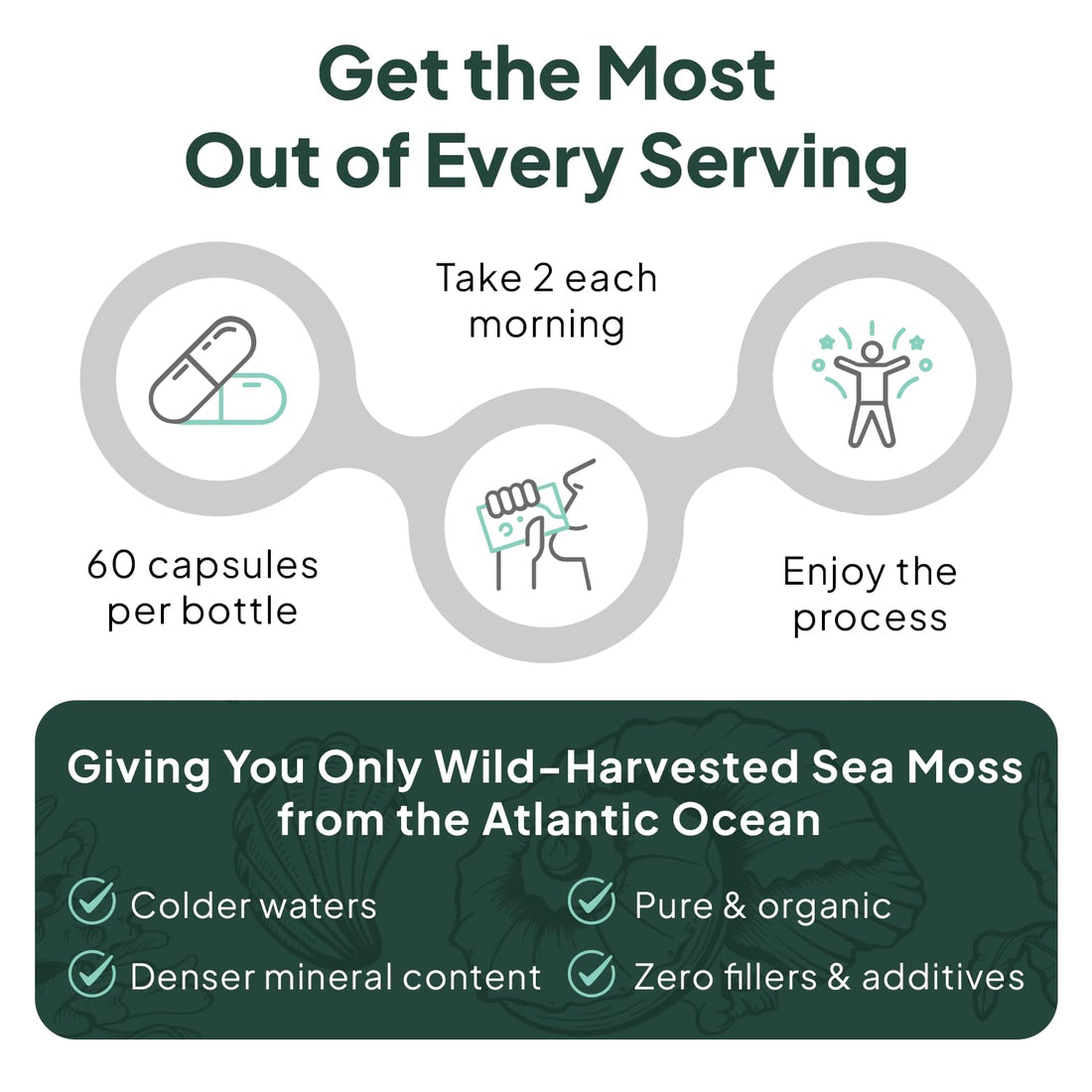 Organics Ocean Wild Sea Moss Capsules - 100% Organic Irish Sea Moss with Organic Chlorella, Bladderwrack and Vitamin D for Energy, Lung Health and Thyroid Support for Women and Men - 60 Capsules Organics OceanAu supplements