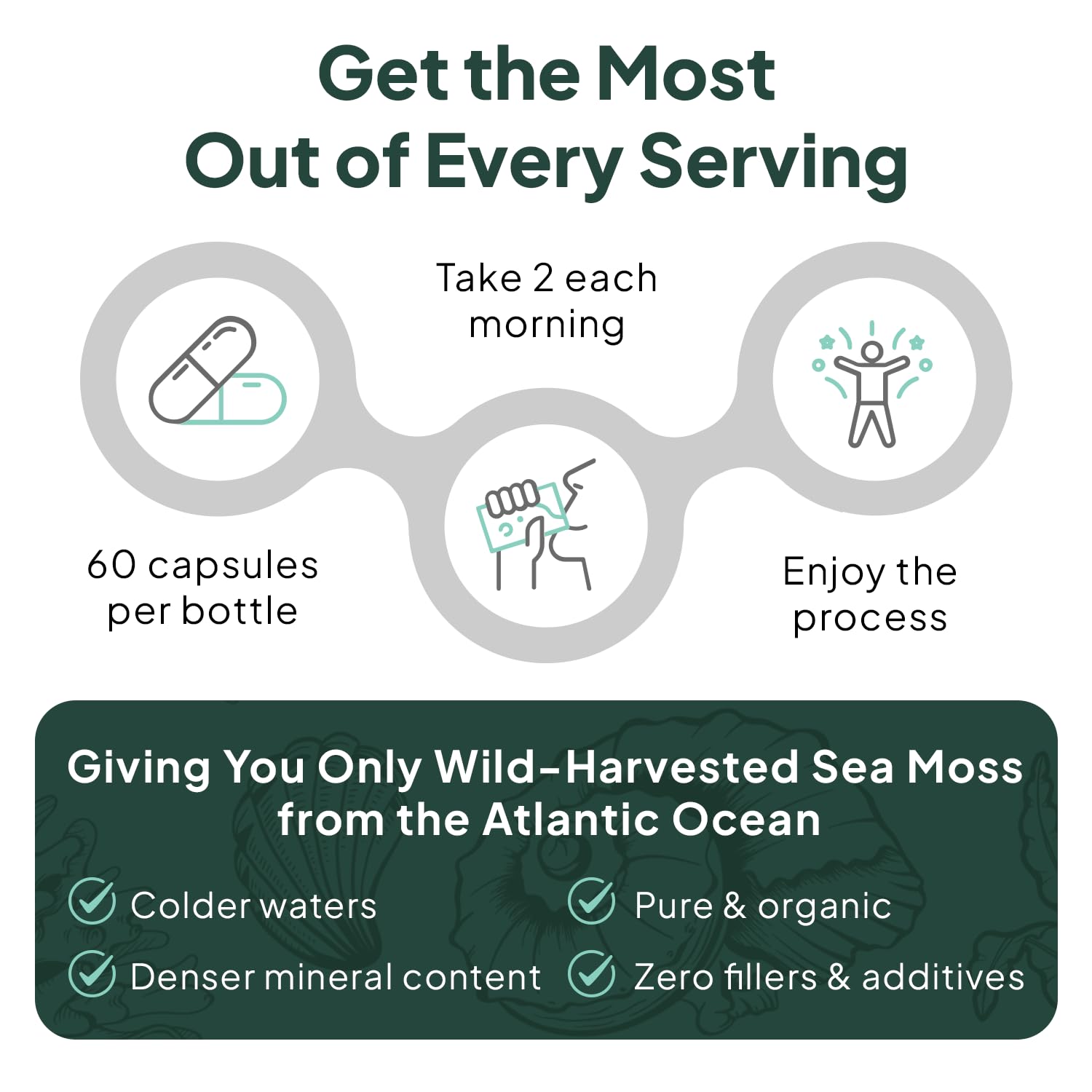 Organics Ocean Wild Sea Moss Capsules - 100% Organic Irish Sea Moss with Organic Chlorella, Bladderwrack and Vitamin D for Energy, Lung Health and Thyroid Support for Women and Men - 60 Capsules Organics OceanAu supplements