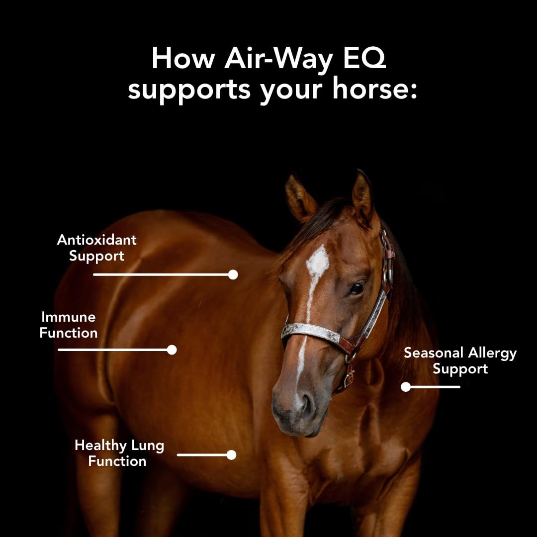 MVP Air-Way EQ Supports Healthy Lung Function and Seasonal Allergy Support in Horses, 5lb - 40 Servings MVPAu supplements