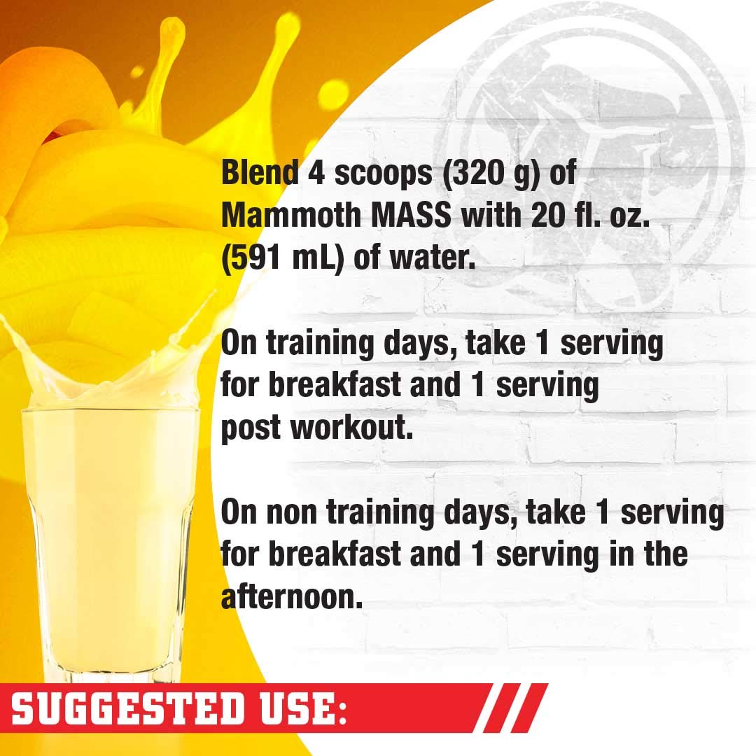 Interactive Nutrition Mammoth Mass Supplement, 5 lbs, Banana, 2.2kg Banana MammothAu supplements