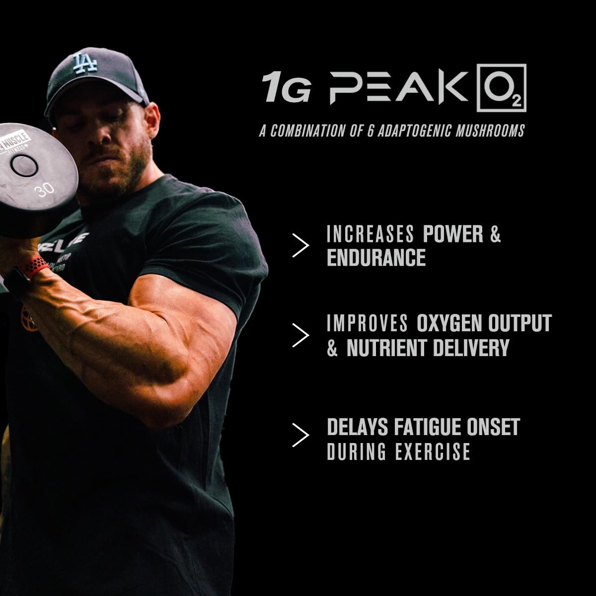 Jacked Factory Muscle Builder Supplement Stack - Build-XT Muscle Builder & N.O. XT Nitric Jacked FactoryAu supplements