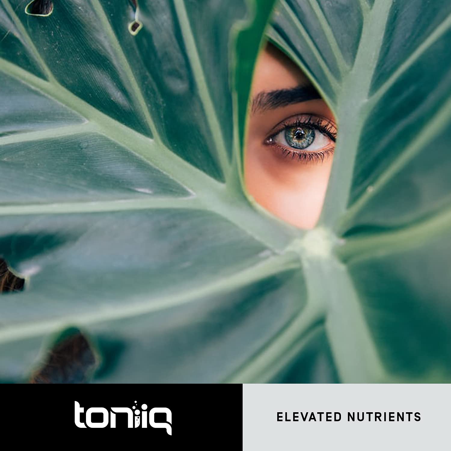 Toniiq Ultra High Purity Resveratrol Capsules - 98% Trans-Resveratrol - Highly Purified and Bioavailable - 60 Caps Reservatrol Supplement ToniiqAu supplements