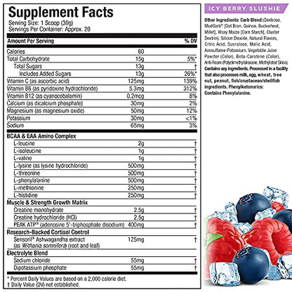 Creatine Powder | MuscleTech Cell-Tech Elite Creatine Powder | Post Workout Recovery MuscleTechUS supplements