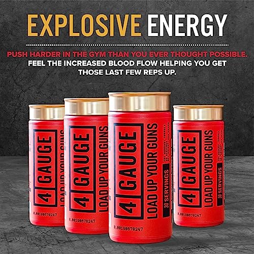 4 Gauge Natural Preworkout Without The Jitters | 30 Servings | Nitric Oxide Booster 4 GaugeAu supplements