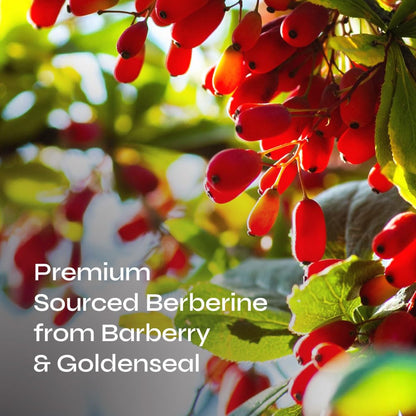 Neurogan Berberine Supplement Capsules, Weight Management Support - 45,000MG Natural NeuroganUS supplements
