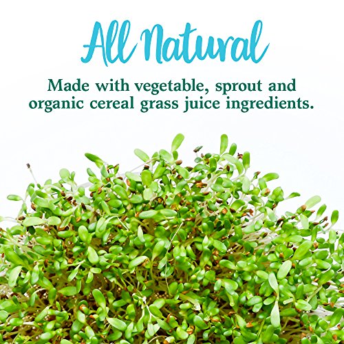 Garden of Life Perfect Food Super Green Formula - 14 Servings | 45 Superfoods, Greens Garden of LifeUS supplements