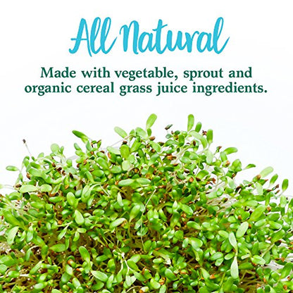 Garden of Life Perfect Food Super Green Formula - 14 Servings | 45 Superfoods, Greens Garden of LifeUS supplements