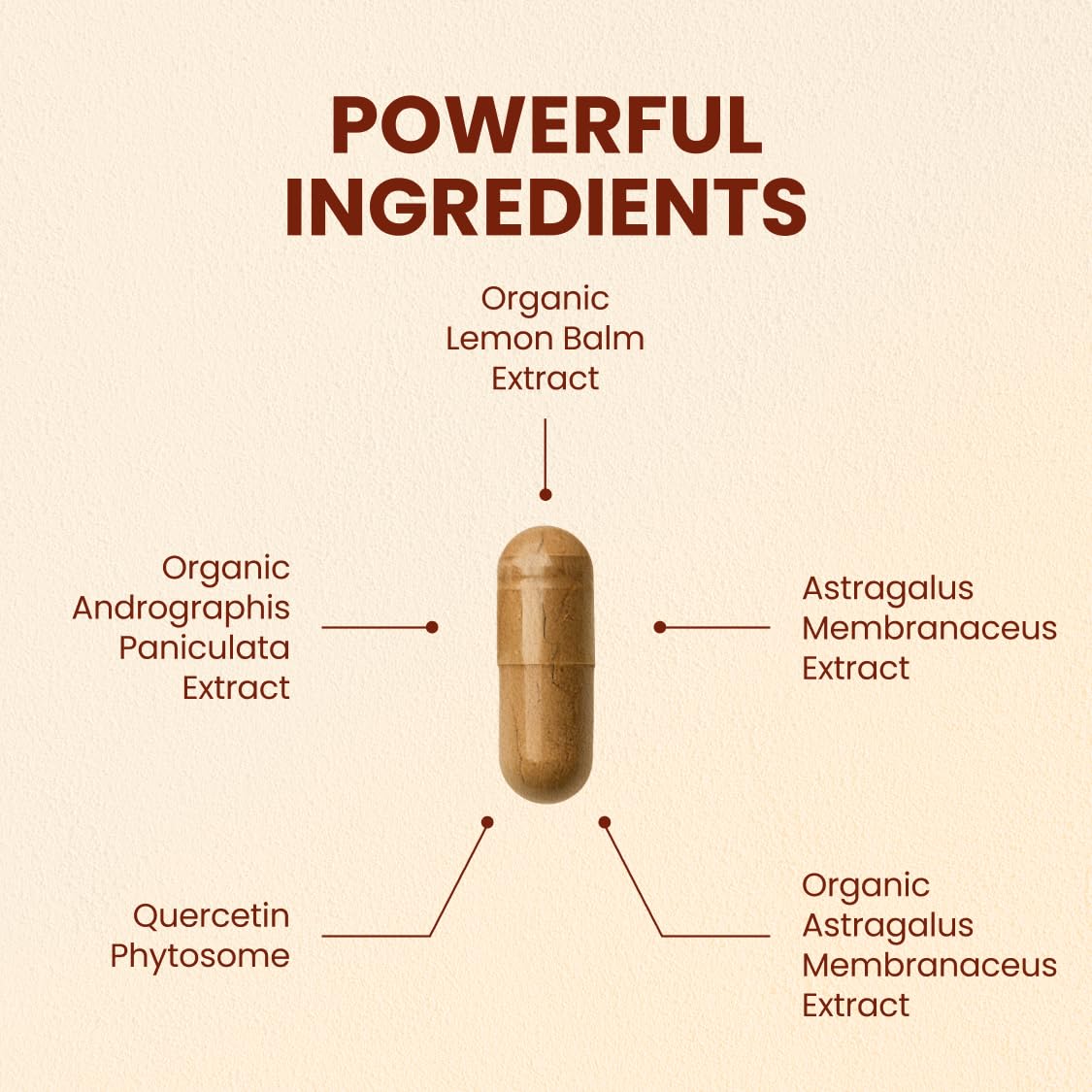 CHOQ Armor - Vegan Capsules - Professional-Grade Immune Defense - 20x Absorption Quercetin Phytosome - Andrographis - Astragalus - Supports Healthy Histamine Levels CHOQAu supplements