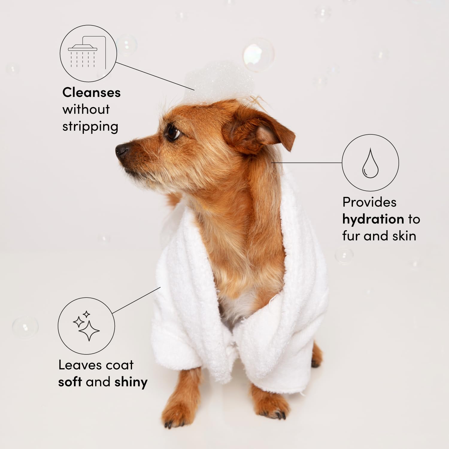 OUAI Fur Bébé Pet Shampoo, Mercer Street Scent - Dog Shampoo and Coat Wash for Hydrating, Cleansing and Adding Shine - Pet Supplies by OUAI (16 Fl Oz) OUAIAu supplements