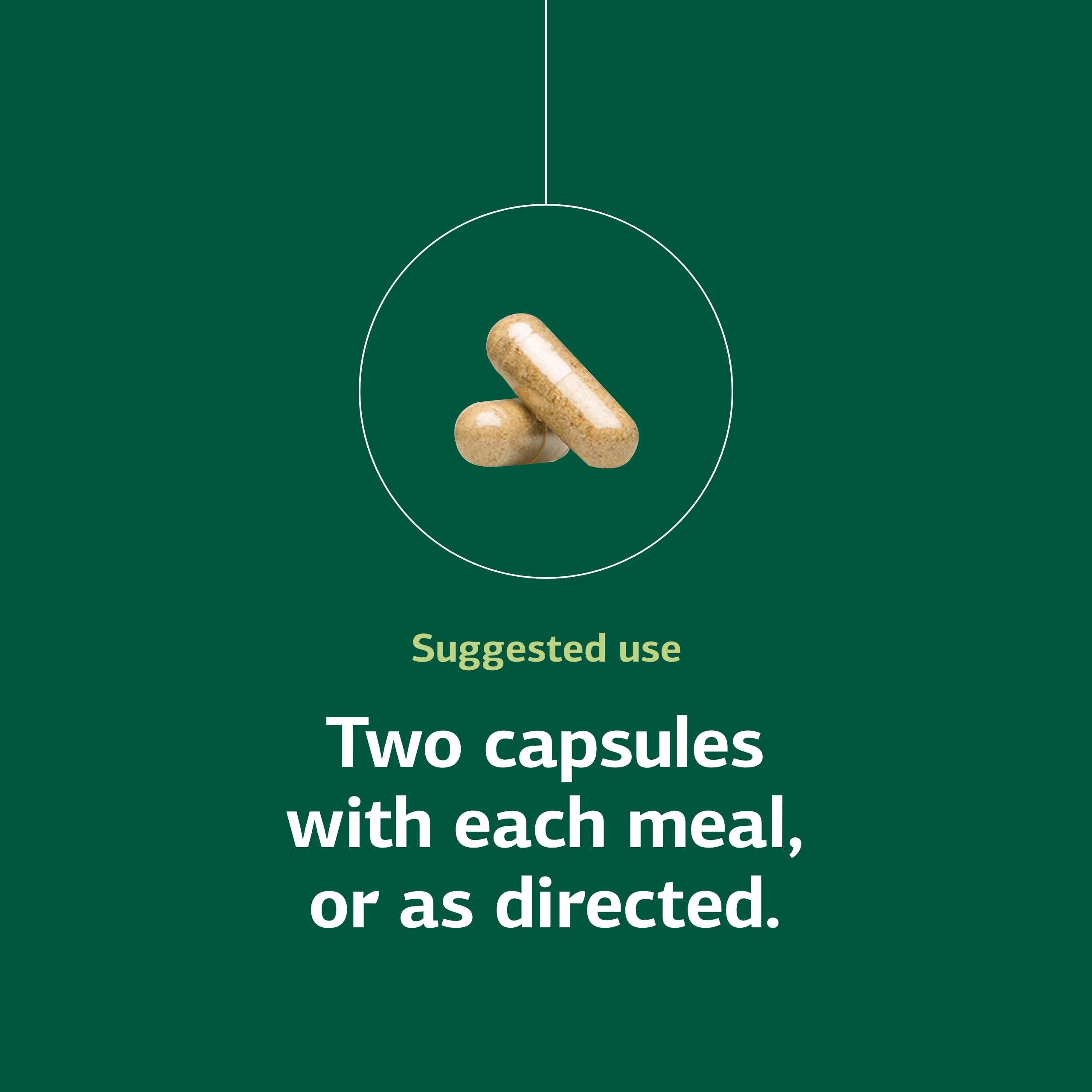 Standard Process Senaplex - Nervous System Support with Niacin, Vitamin B12 & B6 - Supports Brain Health & Cellular Health - Offers Antioxidant Activity - Non-Dairy - 90 Capsules (45 Servings) Standard Process Inc.Au supplements