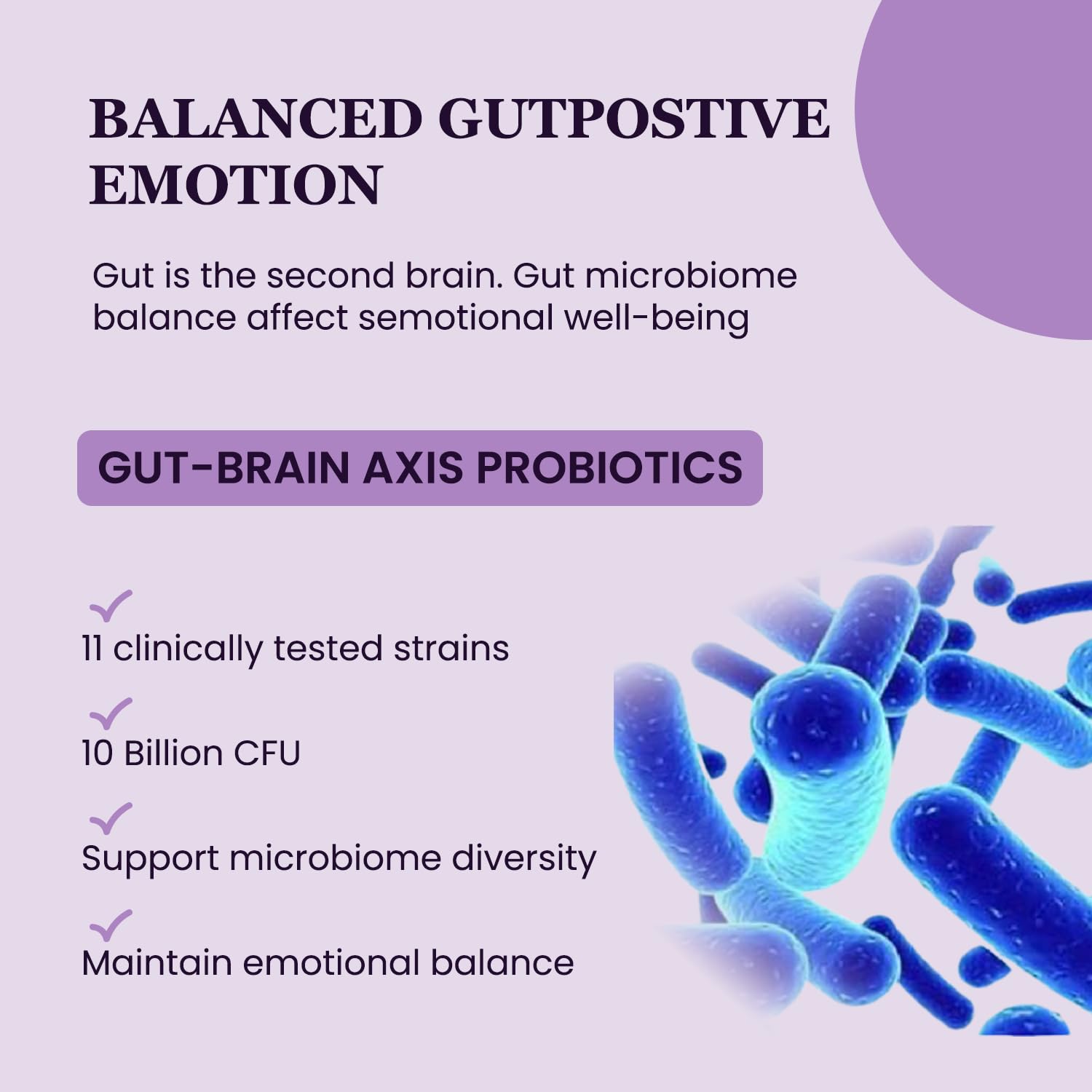 UpNourish Organic Ashwagandha Saffron Supplements with Probiotics - Stress Relief, Mood Enhancer, Calm Happy Pills Support Fatigue Focus Clarity with L-Theanine, Rhodiola, 30 Vegan Capsules UpNourishAu supplements